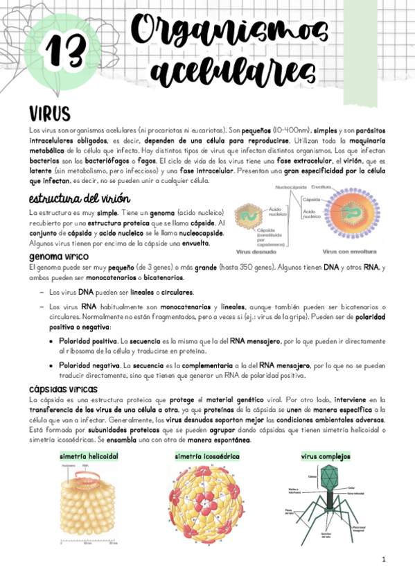 Miniatura del documento Tema-13.pdf