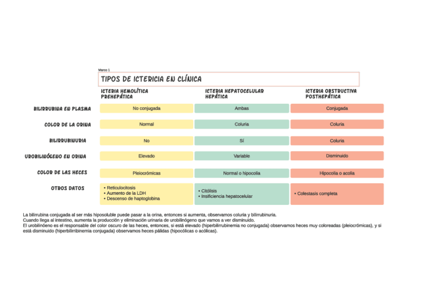 Miniatura del documento tipos-de-ictericia.pdf