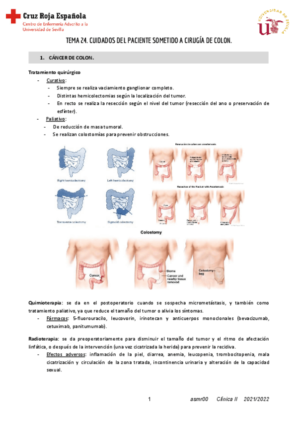 Miniatura del documento Tema-24-Clinica-II.pdf