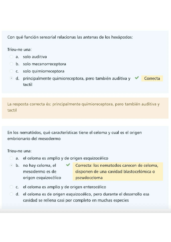 Miniatura del documento Cuestionario-preguntas-examen-zoologia-.pdf
