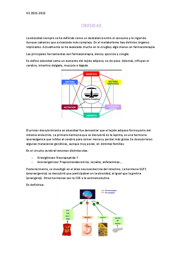 Miniatura del documento Obesidad.pdf