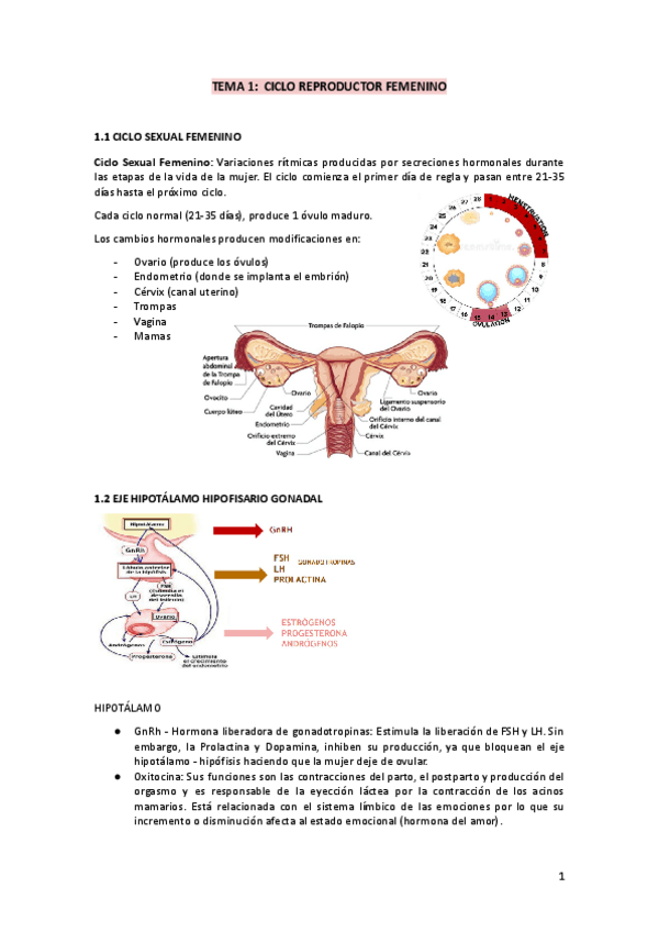 Miniatura del documento TEMA-1.pdf