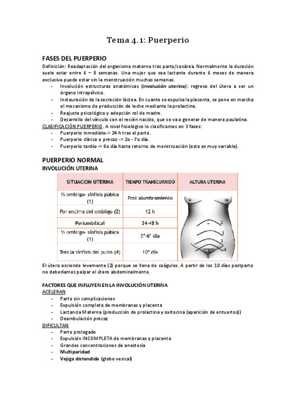 Miniatura del documento Tema-4.pdf