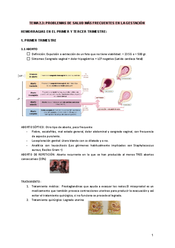 Miniatura del documento TEMA-2.pdf