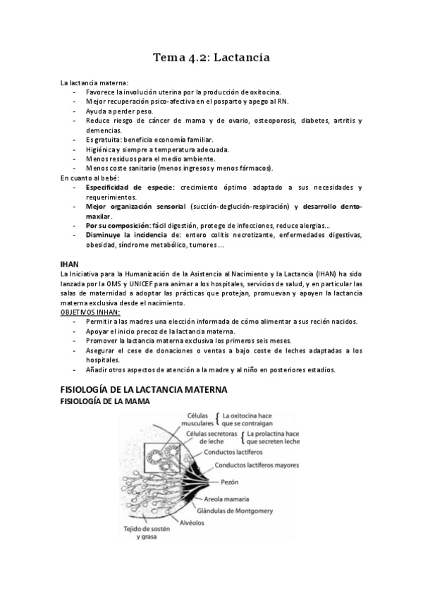 Miniatura del documento Tema-4.pdf