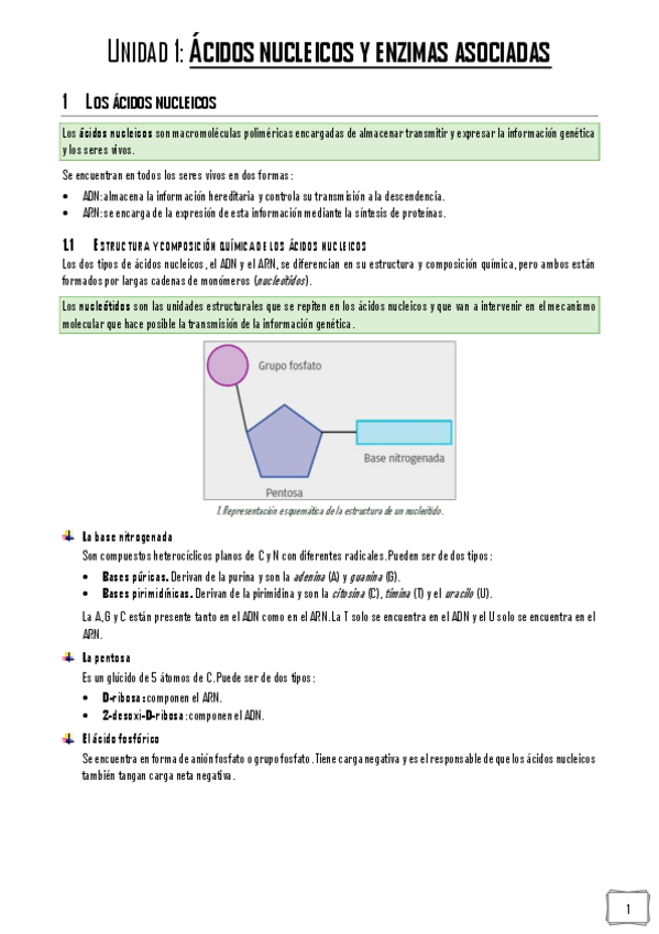 Miniatura del documento BMC-Apuntes.pdf