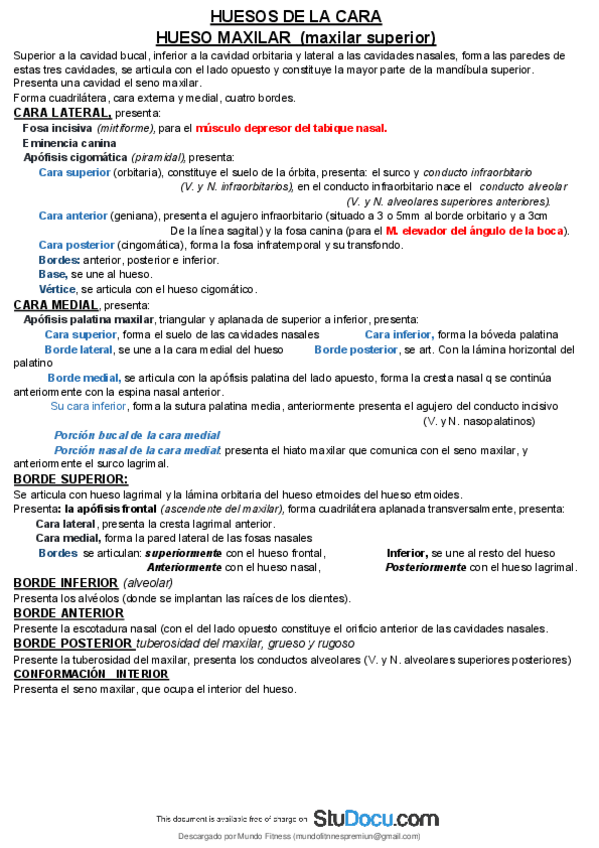 Miniatura del documento Resumen-HUESOS-DE-LA-CARA.pdf