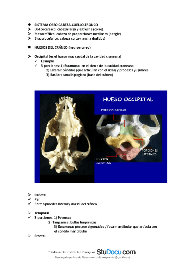 Miniatura del documento Sistema-OSEO-Cabeza-huesos.pdf