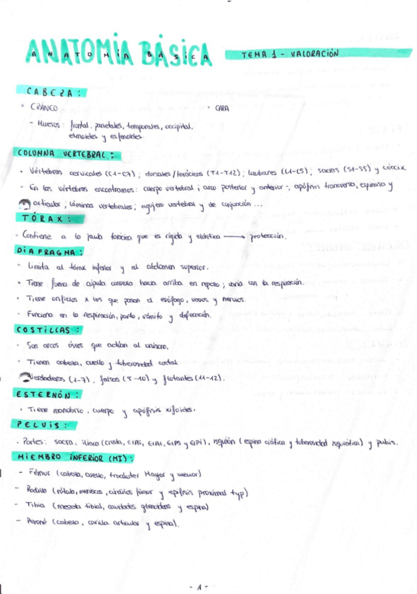 Miniatura del documento TEMAS-INICIALES-Y-VALORACION-.pdf