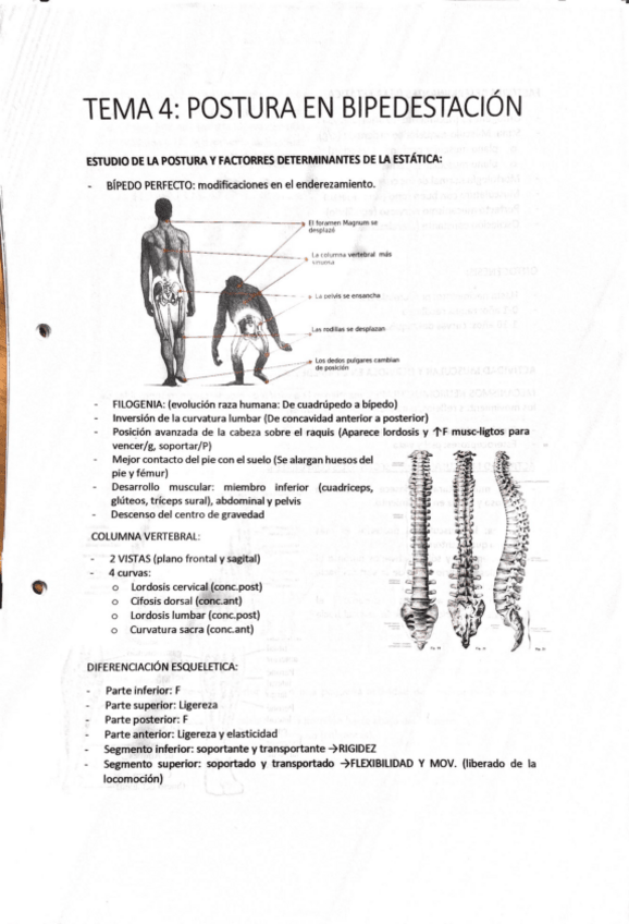 Miniatura del documento TEMAS-FINALES.pdf