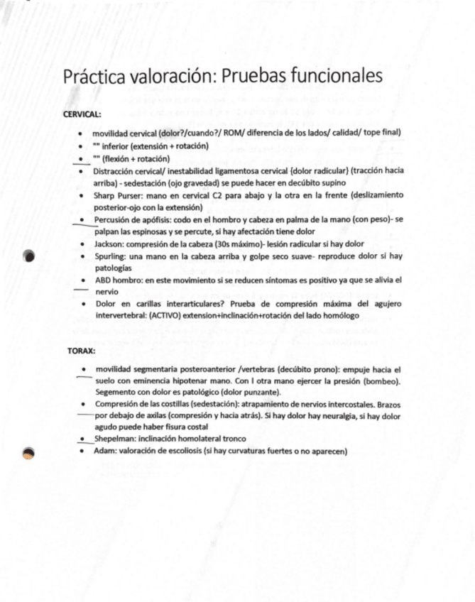 Miniatura del documento PRUEBAS-FUNCIONALES.pdf