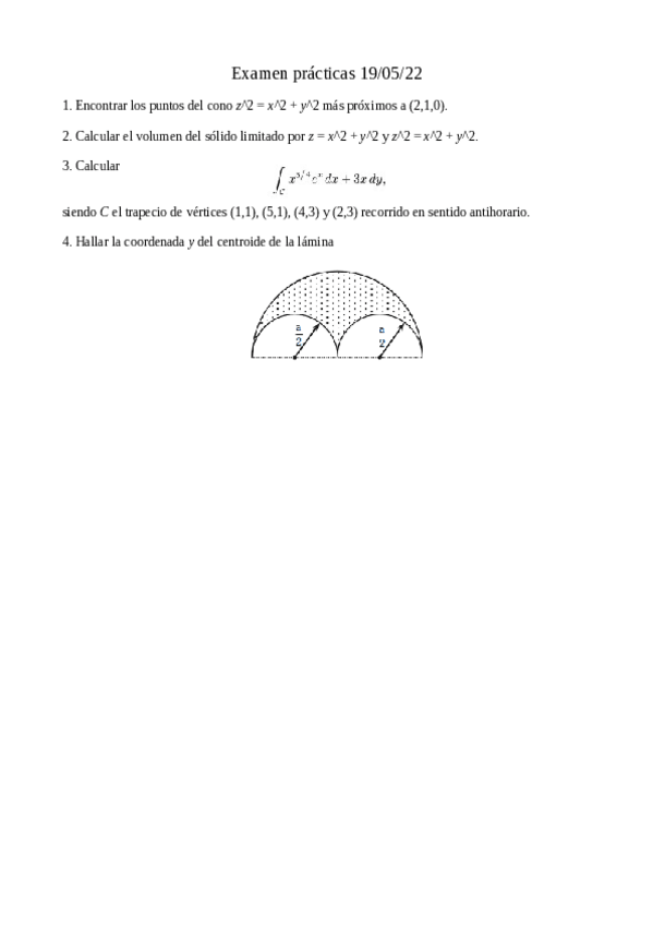 Miniatura del documento examenPracticasVoluntario20220519.pdf