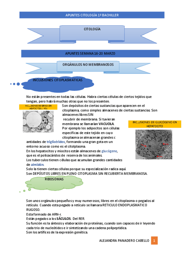 Miniatura del documento Documento-PDF.pdf