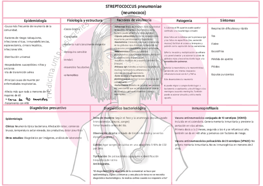 Miniatura del documento Bacterias-Aparato-Respiratoriowatermark.pdf