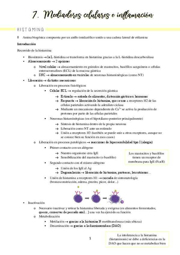 Miniatura del documento Bloque 7 inflamación (completo)