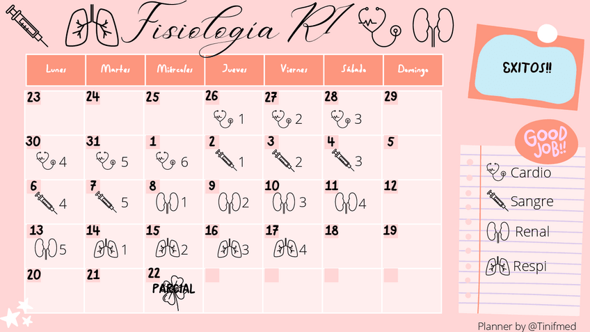 Miniatura del documento Planner-Fisio-R1.pdf