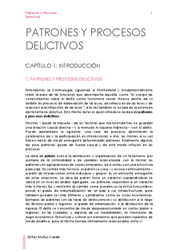 Miniatura del documento Patrones-y-procesos-delictivos.pdf