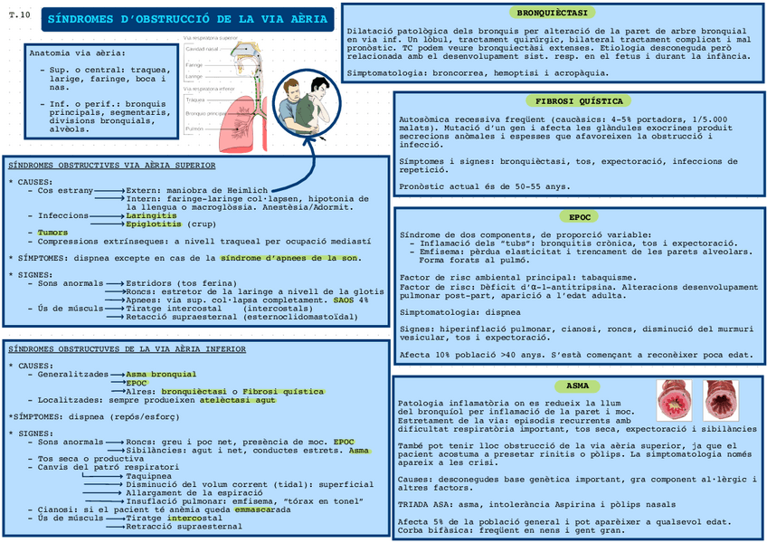 Miniatura del documento Sdrsdobstruccio-de-la-via-aeria.pdf
