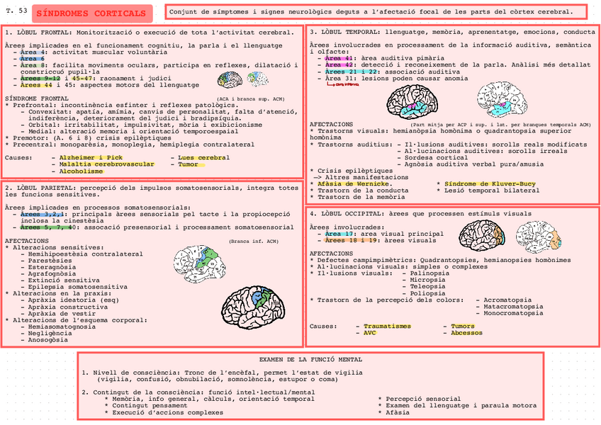 Miniatura del documento Sdrs-corticals.pdf