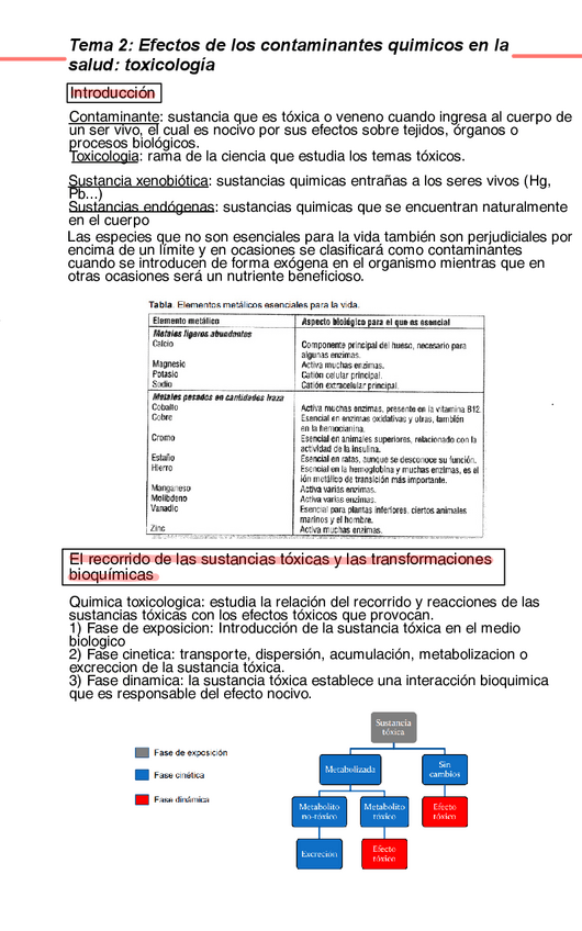 Miniatura del documento Tema-2.pdf