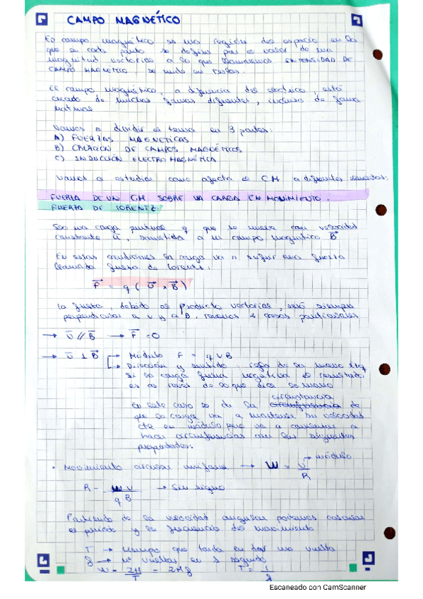 Miniatura del documento Campo-magnetico.pdf