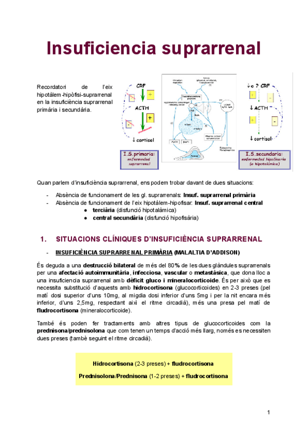 Miniatura del documento Insuficiencia-suprarenal.pdf