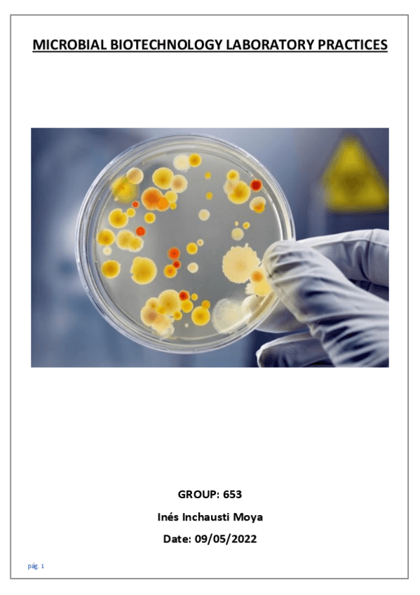 Miniatura del documento LABORATORY-NOTEBOOK-Ines-Inchausti-Moya.pdf