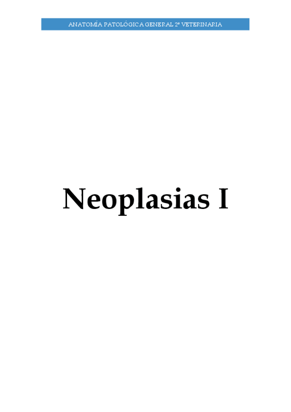 Miniatura del documento Tumores-I.pdf