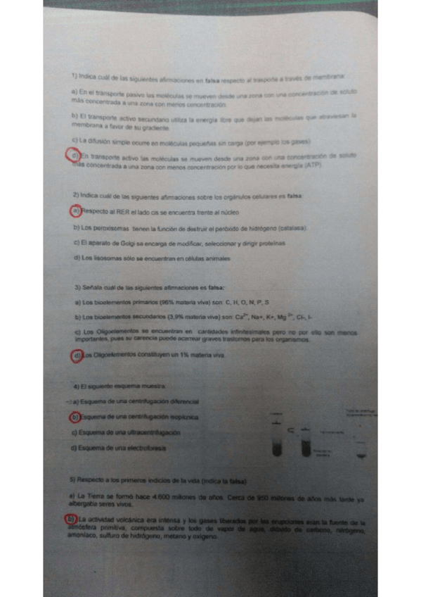 Miniatura del documento IMG2041.pdf