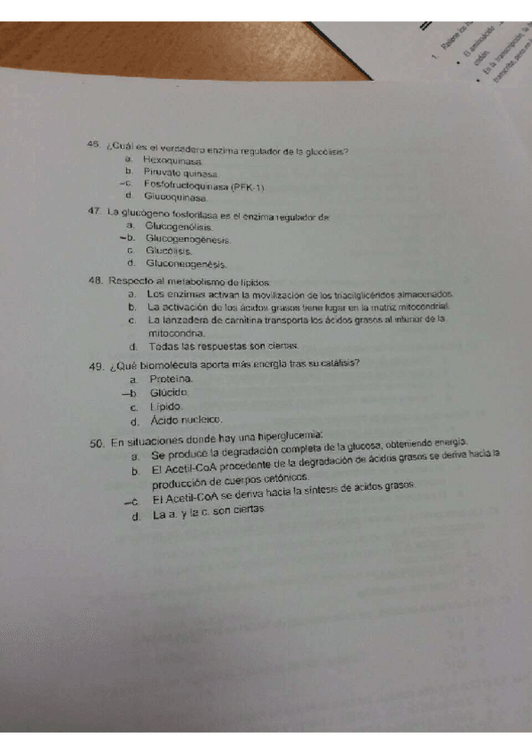 Miniatura del documento IMG8730.pdf