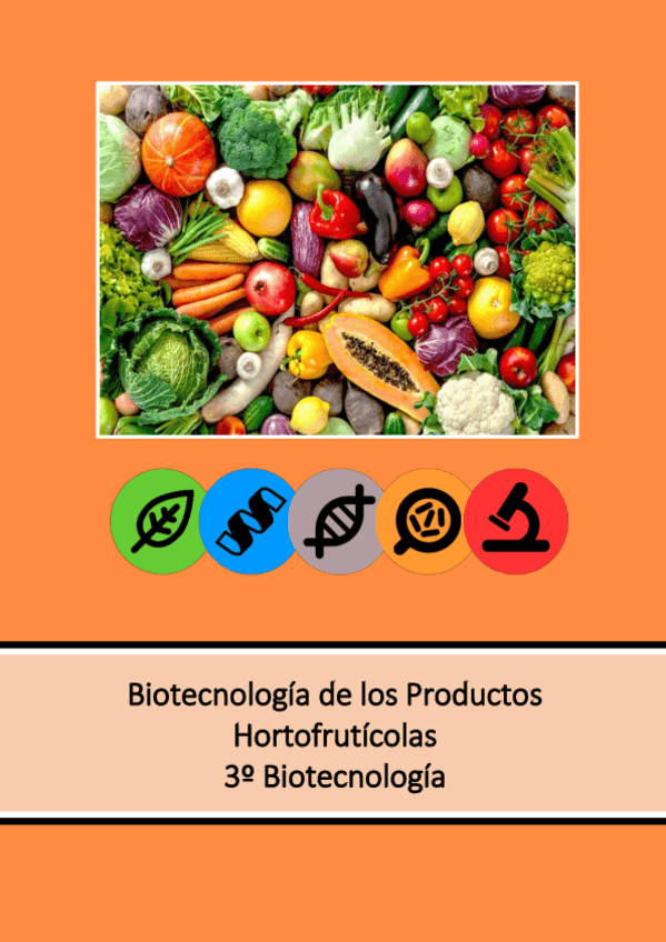 Miniatura del documento Temario-Biotecnologia-de-los-Productos-Hortofructicolas.pdf