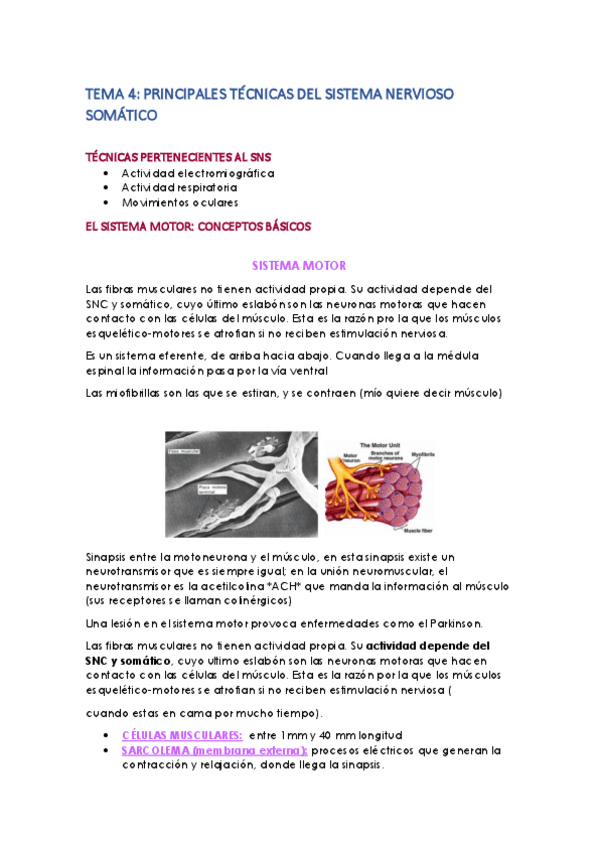 Miniatura del documento TEMA-4.pdf