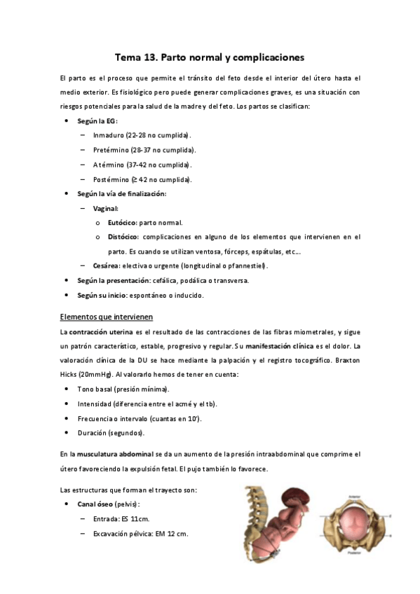Miniatura del documento Tema-13.pdf
