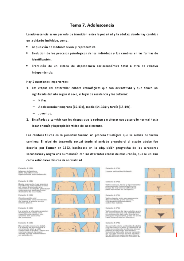Miniatura del documento Tema-7.pdf