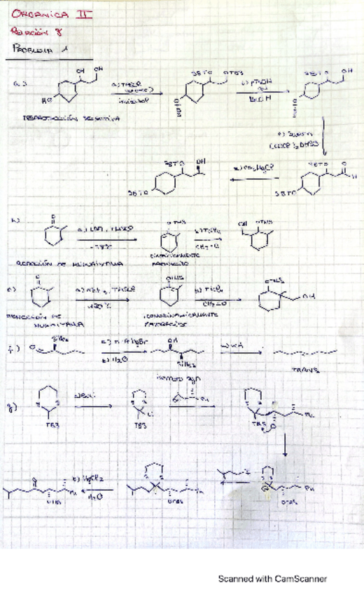 Miniatura del documento RELACION-8-QUIMICA-ORGANICA.pdf