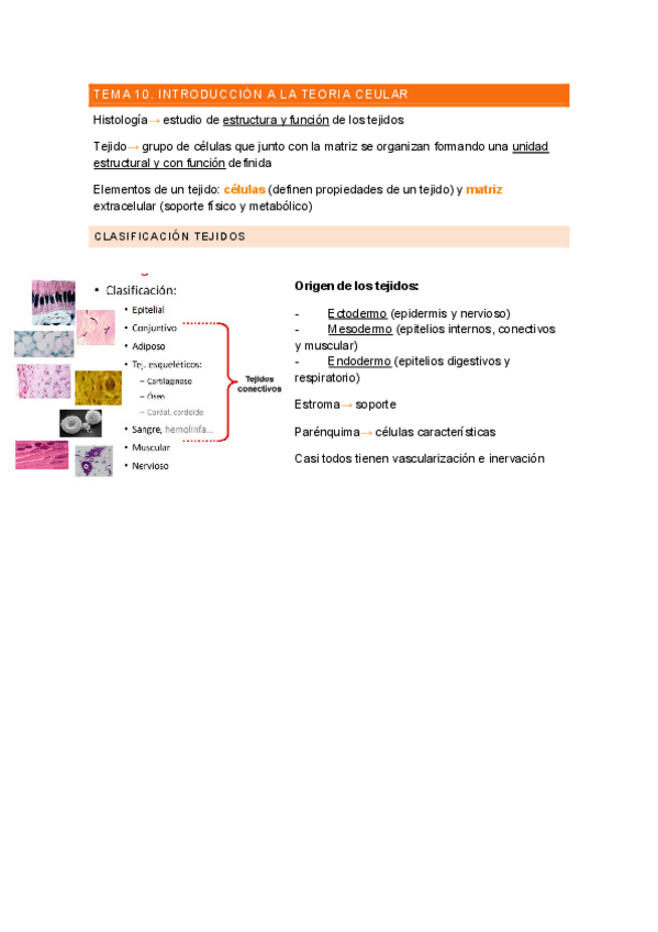 Miniatura del documento histologia.pdf