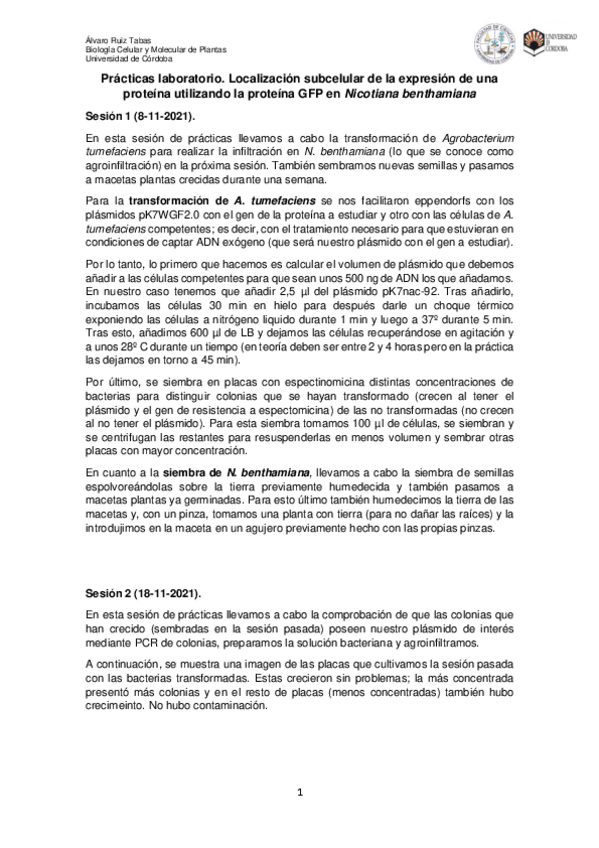 Miniatura del documento Memoria-Alvaro-Ruiz-Tabas.pdf