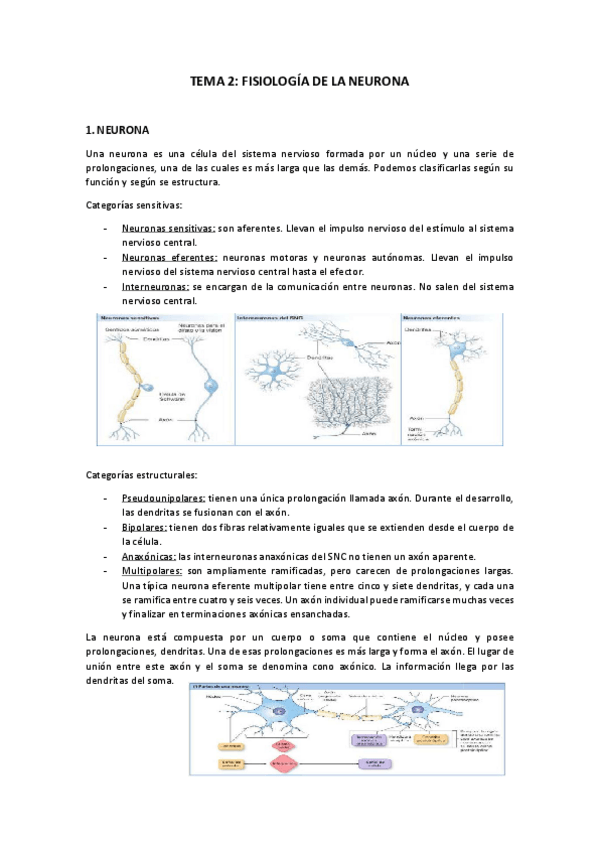Miniatura del documento Tema-2.pdf