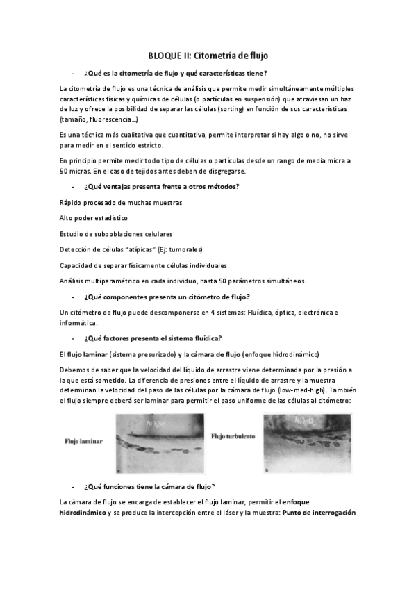 Miniatura del documento Resumen-BLOQUE-II-con-preguntas.pdf