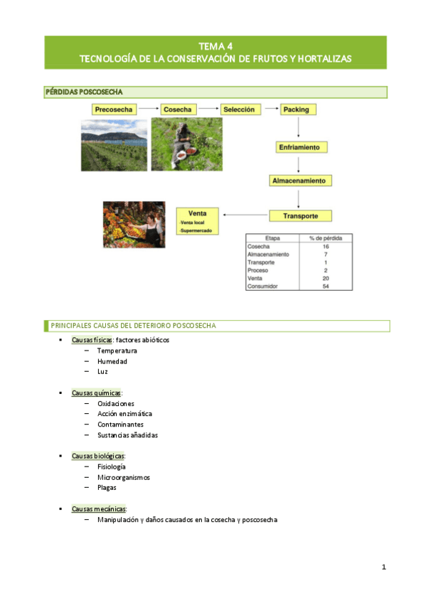 Miniatura del documento Tema-4-i.pdf
