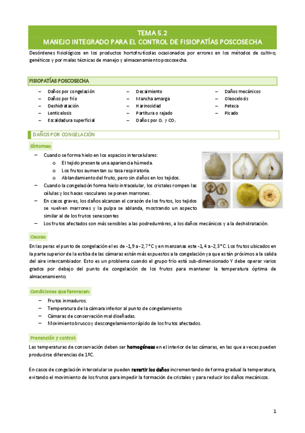 Miniatura del documento Tema-5.pdf
