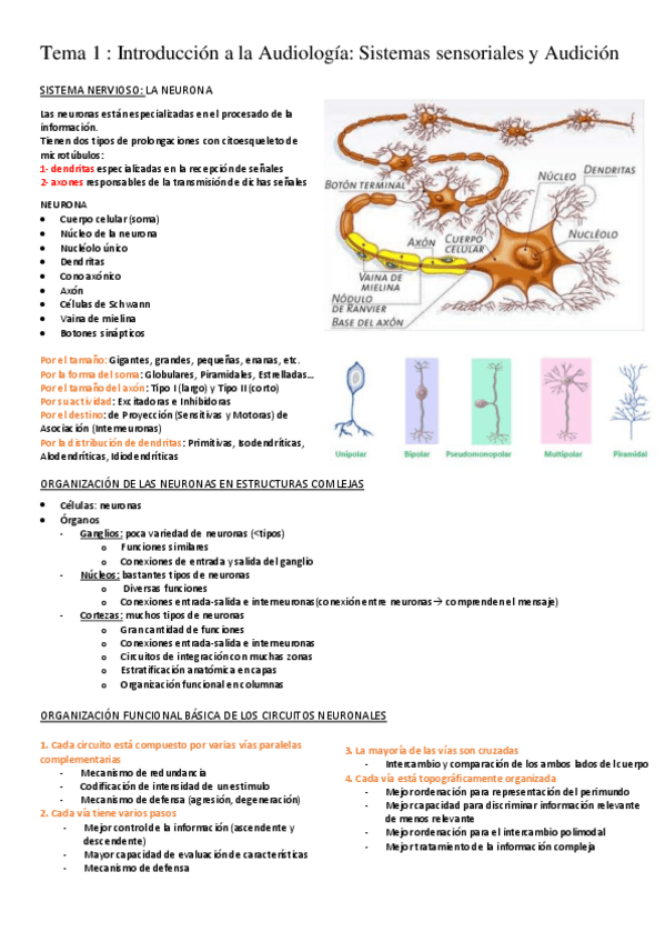 Miniatura del documento Temario-completo-fisiologia-excepto-t.pdf