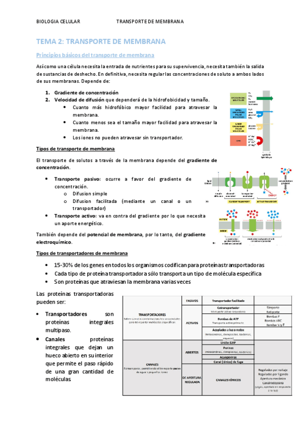 Miniatura del documento TEMA-2.pdf