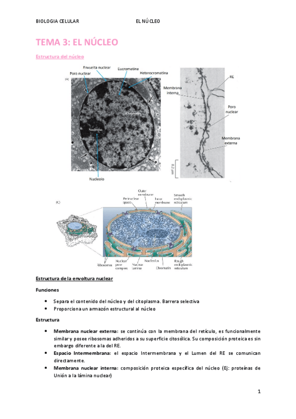 Miniatura del documento TEMA-3.pdf