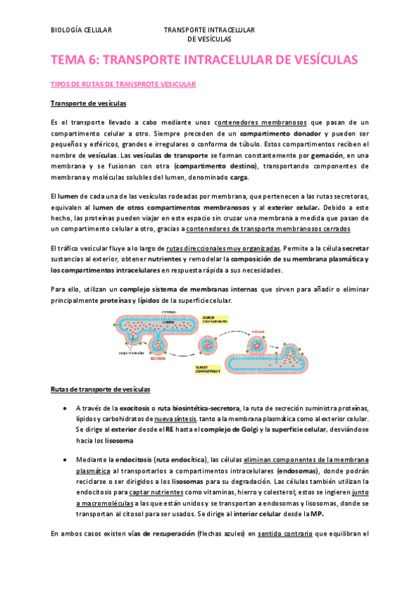 Miniatura del documento TEMA-6.pdf