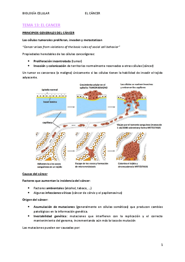 Miniatura del documento TEMA-13.pdf