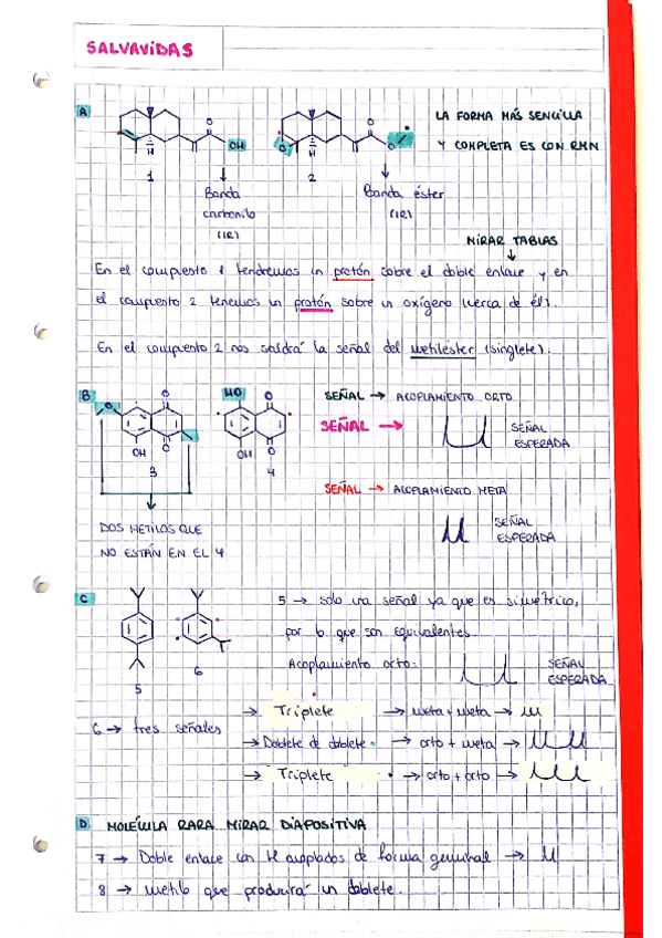 Miniatura del documento Salvavidas.pdf