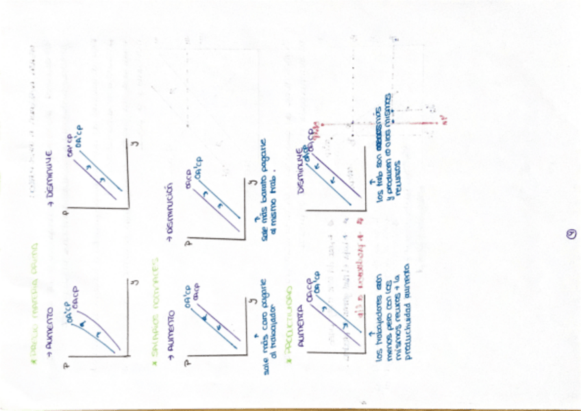 Miniatura del documento apuntes.pdf
