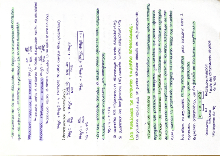 Miniatura del documento apuntes.pdf