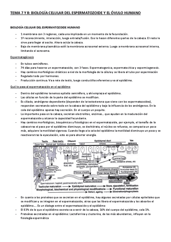Miniatura del documento TEMAS-7-Y-8.pdf